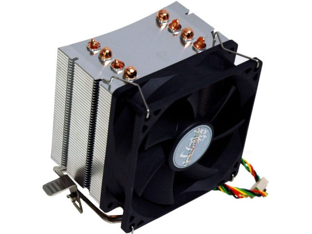 �㓁+ STNAG-PLUS �̐��i�摜