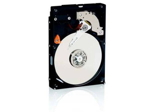 WD800BB (80GB U100 7200) �̐��i�摜