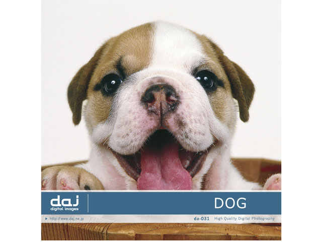 �ʐ^�f�� DAJ digital images 031 DOG [���킢���q��] �̐��i�摜