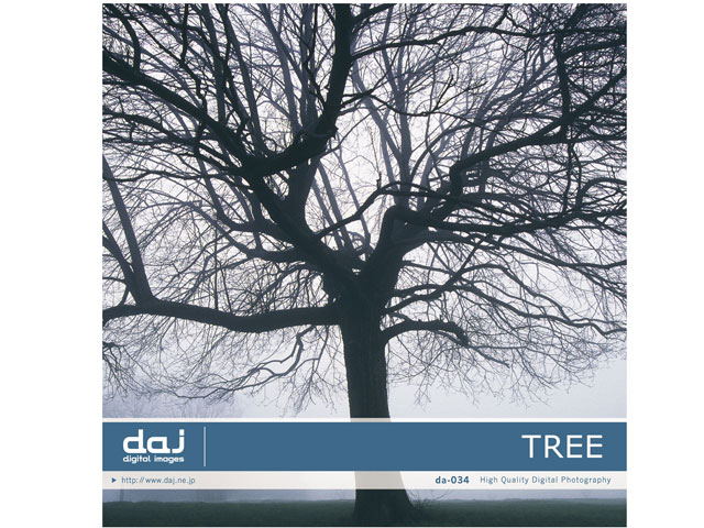 �ʐ^�f�� DAJ digital images 034 TREE [���ؕS�I] �̐��i�摜