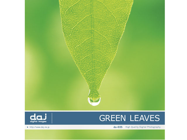 �ʐ^�f�� DAJ digital images 035 GREEN LEAVES [�t���b�V���ȐV�΃C���[�W] �̐��i�摜