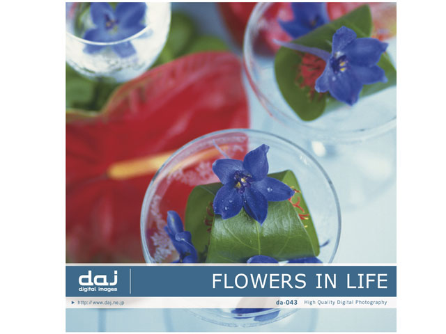 �ʐ^�f�� DAJ digital images 043 FLOWERS IN LIFE [�Ԃ̂��鐶��] �̐��i�摜