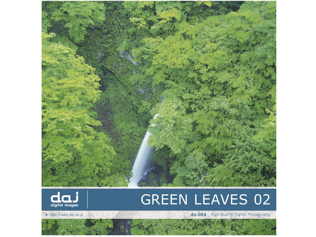 �ʐ^�f�� DAJ digital images 064 GREEN LEAVES 02 [�t���b�V���ȐV�΃C���[�W 02] �̐��i�摜