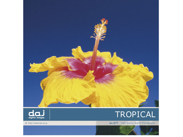 �ʐ^�f�� DAJ digital images 077 TROPICAL [�g���s�J�����C�t] �̐��i�摜