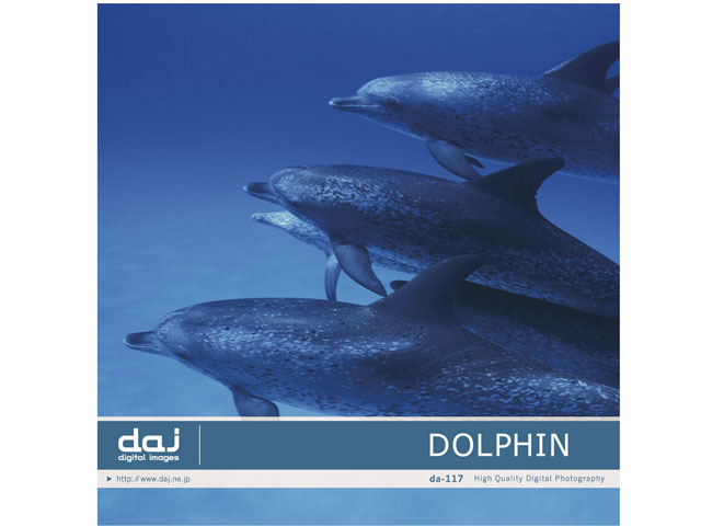 �ʐ^�f�� DAJ digital images 117 DOLPHIN [�C���J] �̐��i�摜