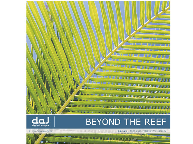 �ʐ^�f�� DAJ digital images 120 BEYOND THE REEF [�r�����h�U���[�t] �̐��i�摜