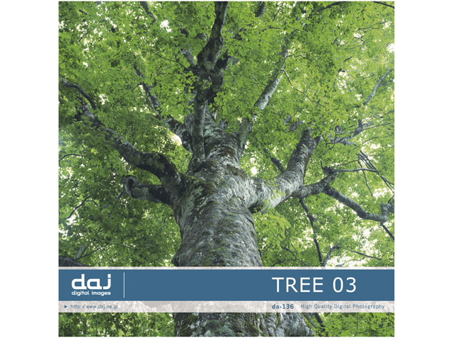 �ʐ^�f�� DAJ digital images 136 TREE 03 [���ؕS�I 03] �̐��i�摜