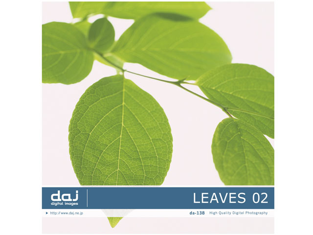 �ʐ^�f�� DAJ digital images 138 LEAVES 02 [�t�S�I 02] �̐��i�摜