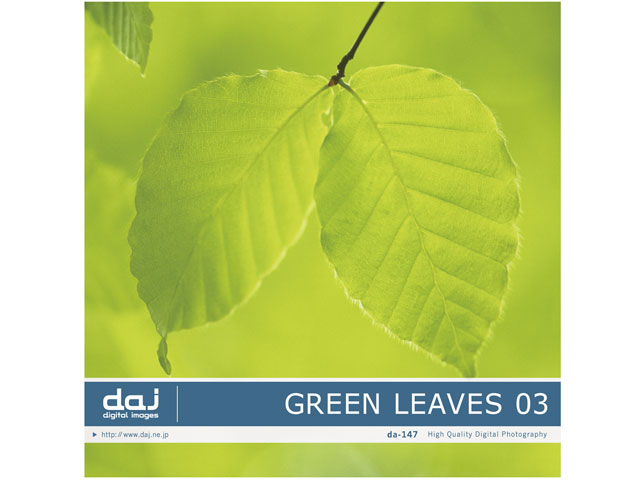 �ʐ^�f�� DAJ digital images 147 GREEN LEAVES 03 [�t���b�V���ȐV�΃C���[�W 03] �̐��i�摜
