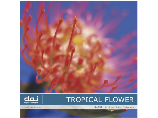 �ʐ^�f�� DAJ digital images 151 TROPICAL FLOWER [�g���s�J�� �t�����[] �̐��i�摜