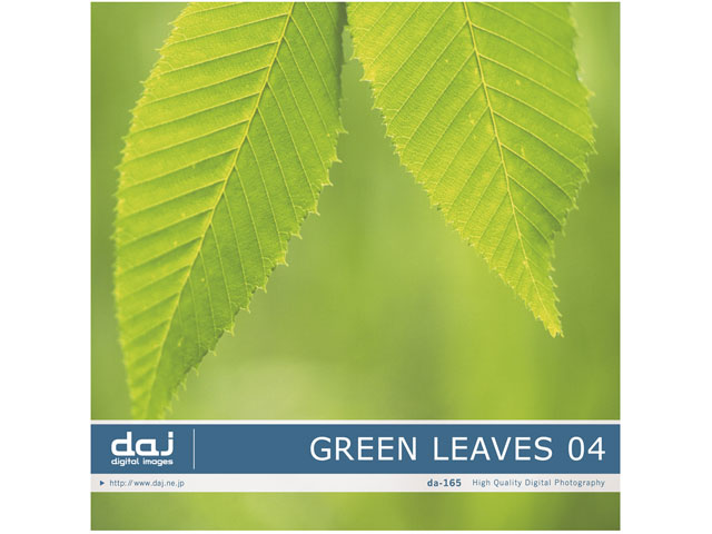 �ʐ^�f�� DAJ digital images 165 GREEN LEAVES 04 [�t���b�V���ȐV�΃C���[�W 04] �̐��i�摜