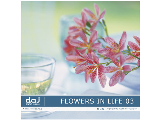 �ʐ^�f�� DAJ digital images 189 FLOWERS IN LIFE 03 [�t�����[�Y�C�����C�t 03] �̐��i�摜