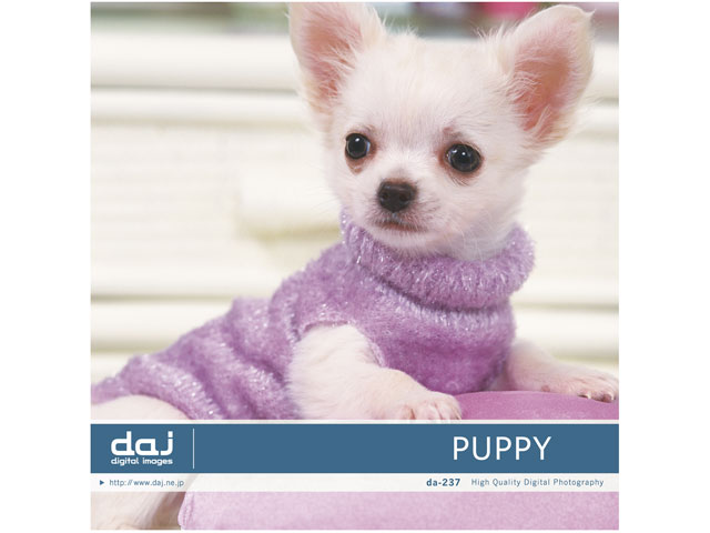 �ʐ^�f�� DAJ digital images 237 PUPPY [�p�s�[] �̐��i�摜