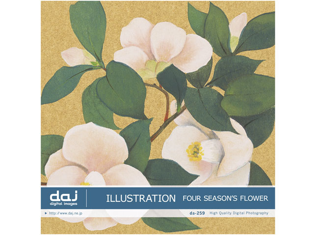 価格 Com 写真素材 Daj Digital Images 259 Four Season S Flower イラストシリーズ 日本画 四季の花 の製品画像