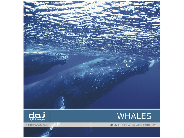 �ʐ^�f�� DAJ digital images 278 WHALES [�N�W��] �̐��i�摜