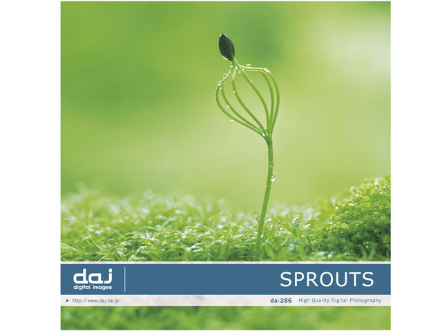 �ʐ^�f�� DAJ digital images 286 SPROUTS [�V��] �̐��i�摜