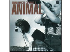 discovery Sound �A�j�}���m�����n �̐��i�摜