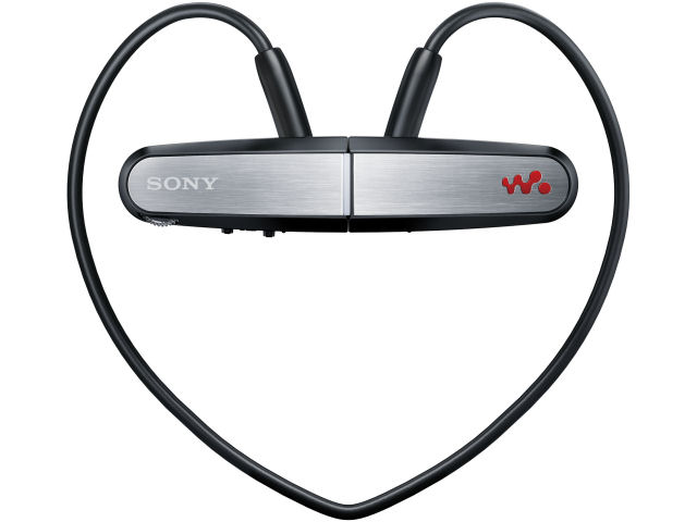 NWD-W202 �u���b�N (2GB) �̐��i�摜