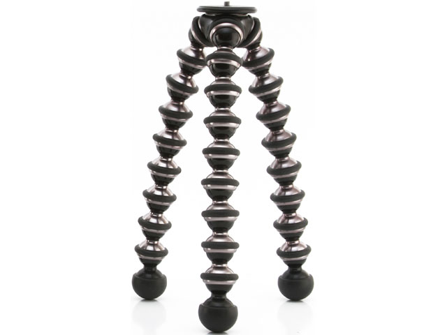 �S�����|�b�h FOCUS �̐��i�摜