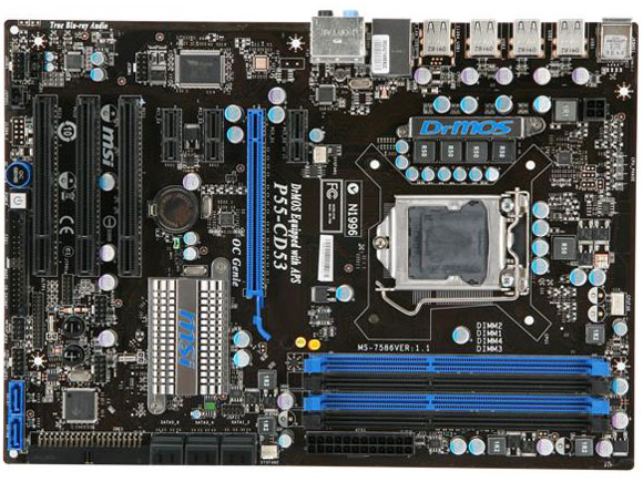 P55-CD53 �̐��i�摜