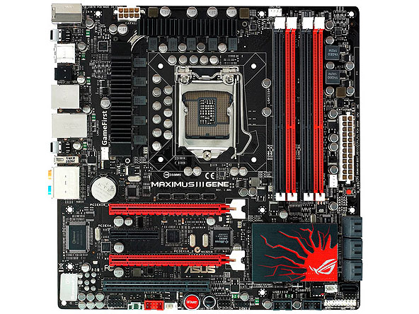 Maximus III GENE �̐��i�摜