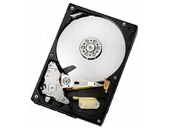 HCS5C1010CLA382 (1TB SATA300) �̐��i�摜