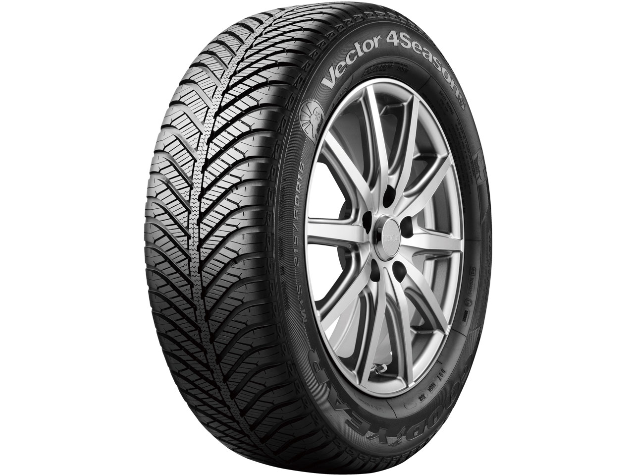Vector 4Seasons 185/65R15 88H �̐��i�摜