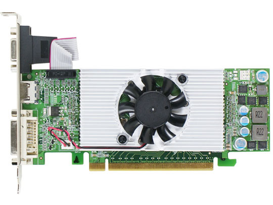 ELSA GLADIAC GT 240 LP DDR3 1GB (PCIExp 1GB) �̐��i�摜