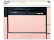 NP-P60V1PKPK �̐��i�摜