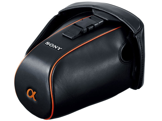 LCS-AMLC2 �̐��i�摜