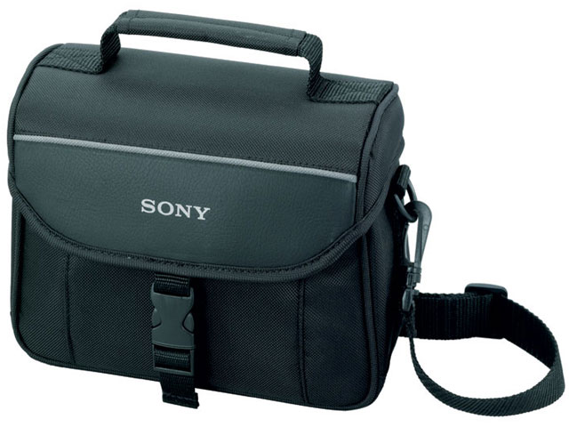 LCS-CSF �̐��i�摜