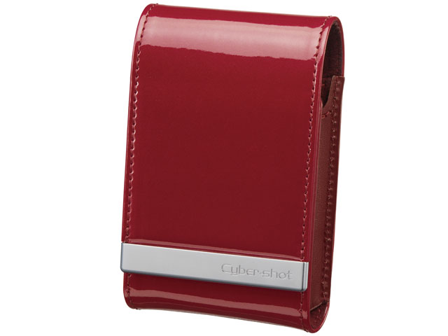 LCS-THM (RI) �̐��i�摜