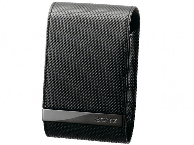 LCS-CSVD (B) �̐��i�摜