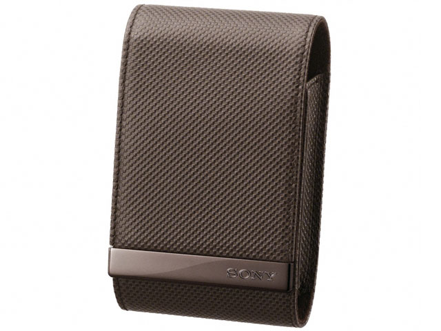 LCS-CSVD (T) �̐��i�摜