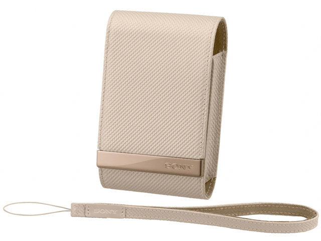 LCS-CSVE (C) �̐��i�摜