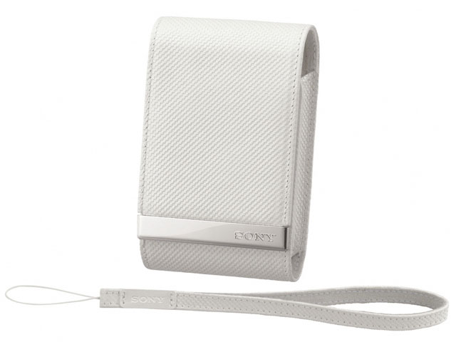 LCS-CSVE (W) �̐��i�摜