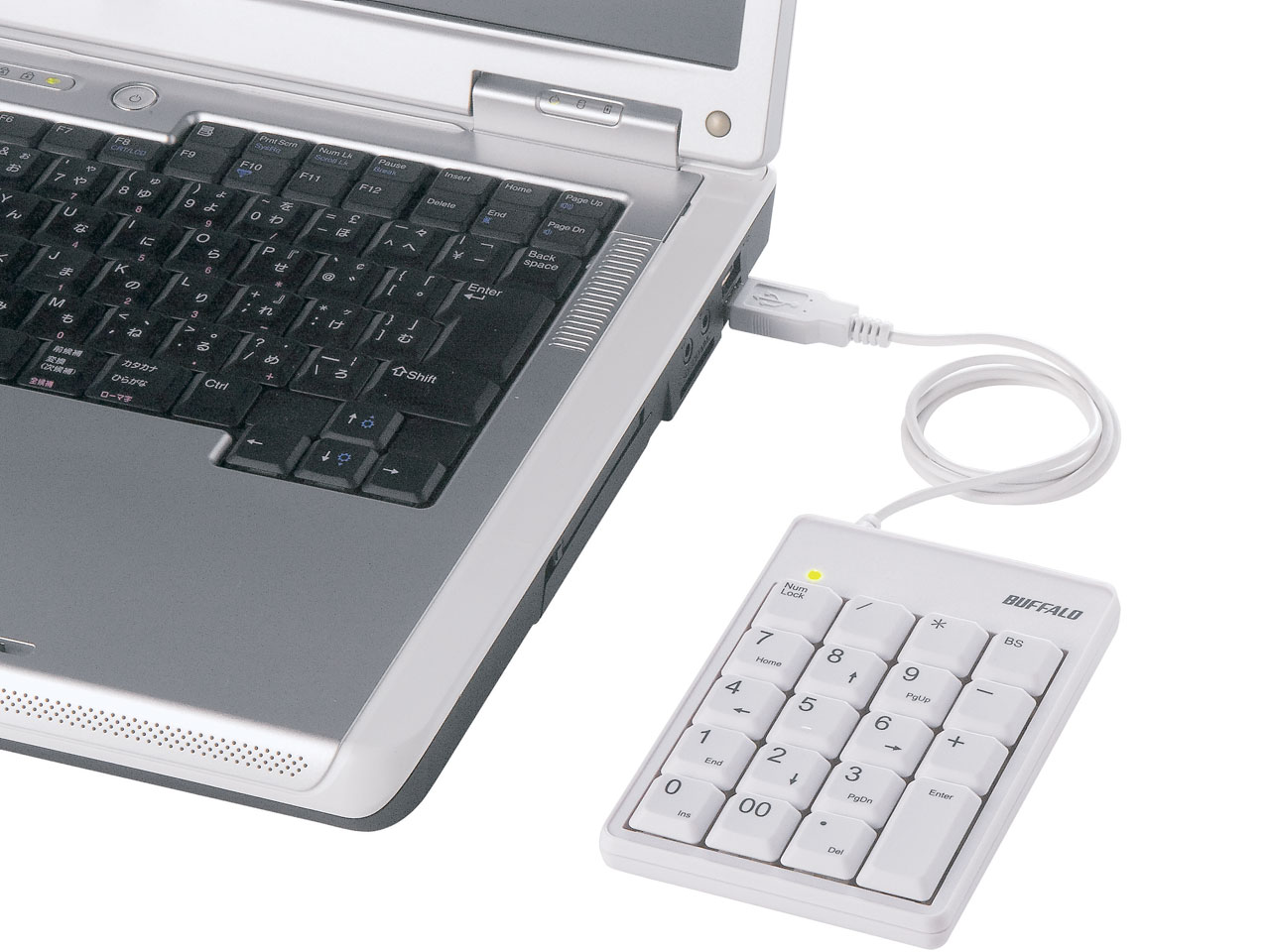 BSTK02WH (�z���C�g)