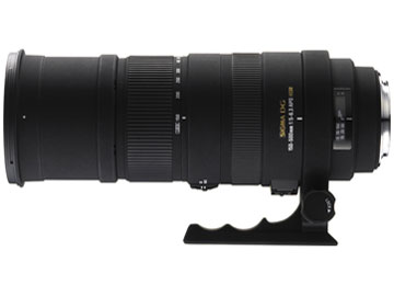 APO 150-500mm F5-6.3 DG OS HSM (�\�j�[�p) �̐��i�摜