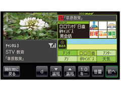 GORILLA NV�]SD740DT