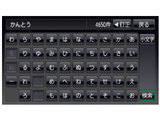 GORILLA NV�]SB550DT