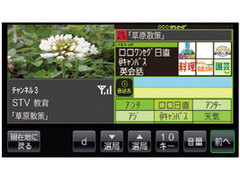GORILLA NV�]SB550DT