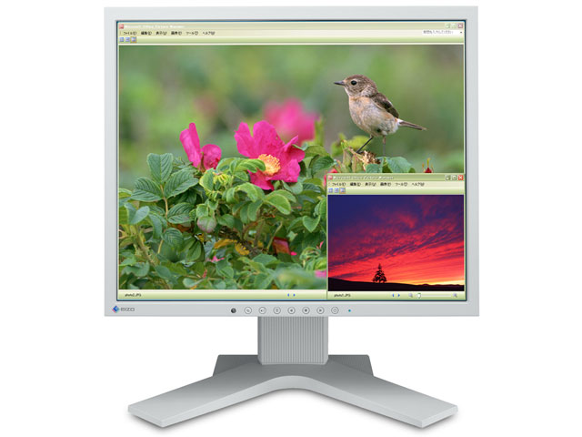 FlexScan S1721-XSHGY [17�C���`] �̐��i�摜