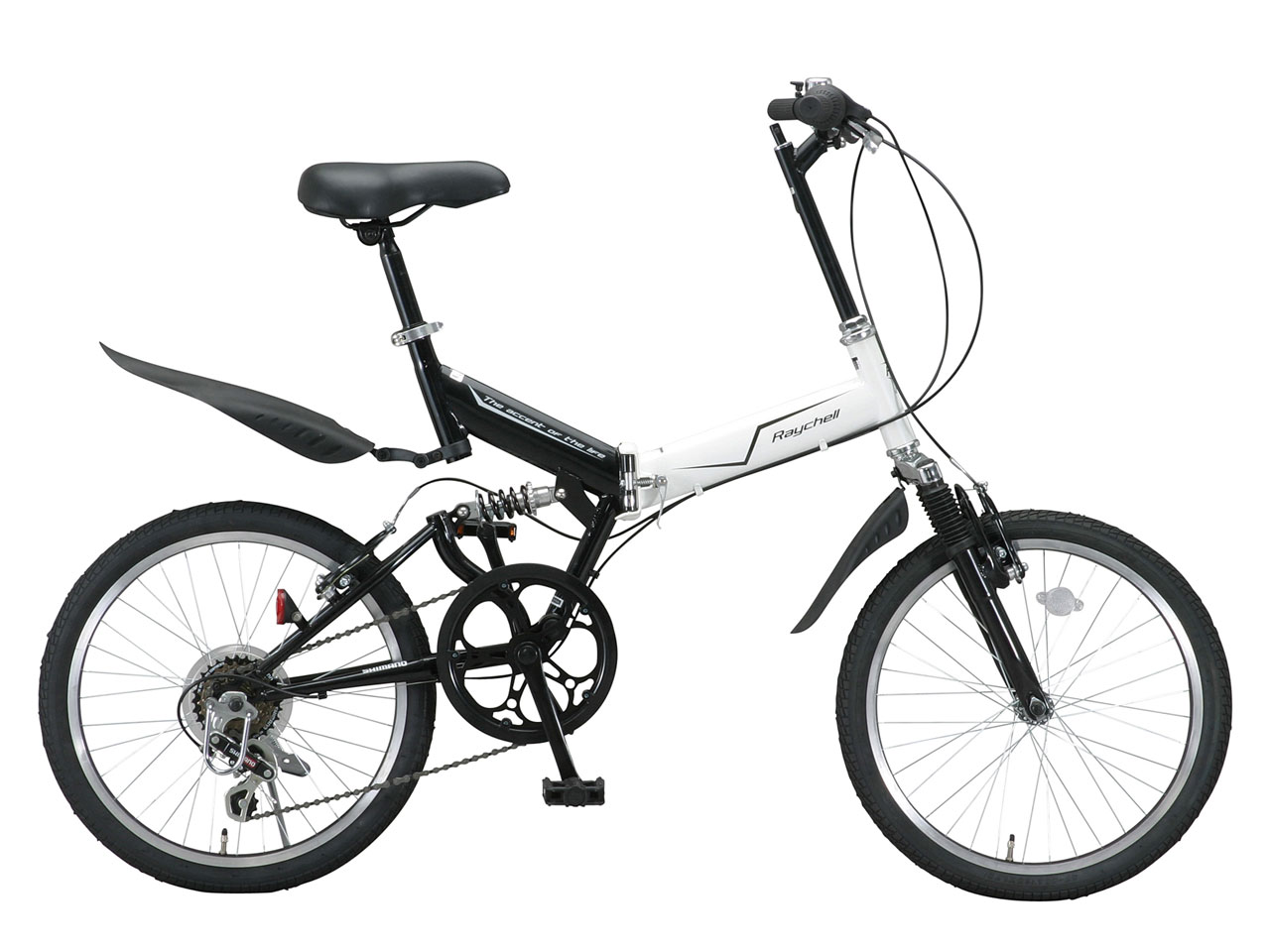 Raychell MFWS-206R 2010�N���f��