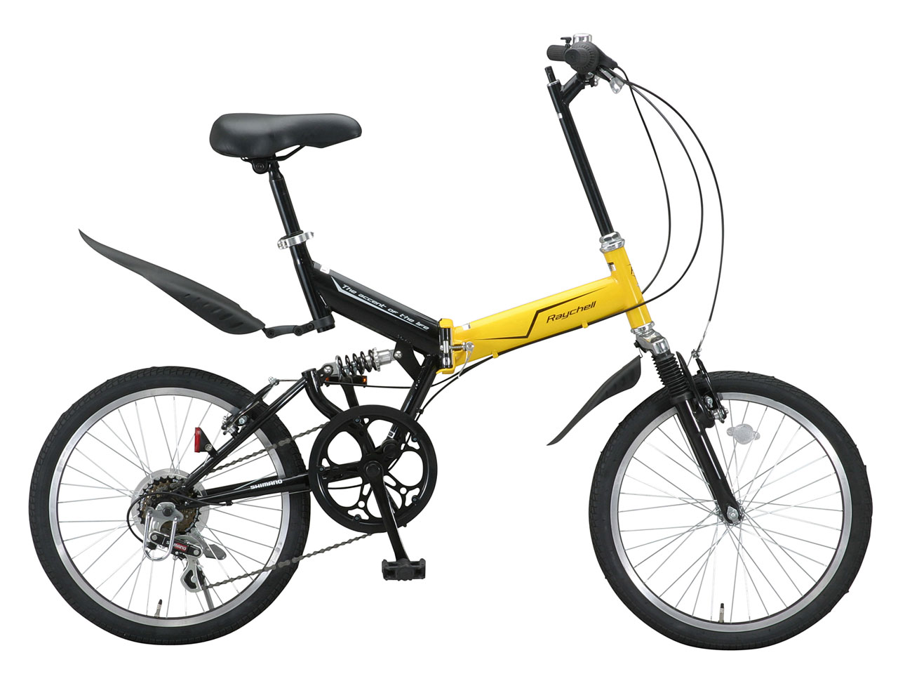 Raychell MFWS-206R 2010�N���f��