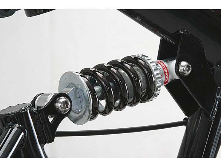 Raychell MFWS-206R 2010�N���f��