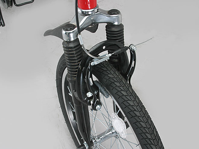 Raychell MFWS-206R 2010�N���f��