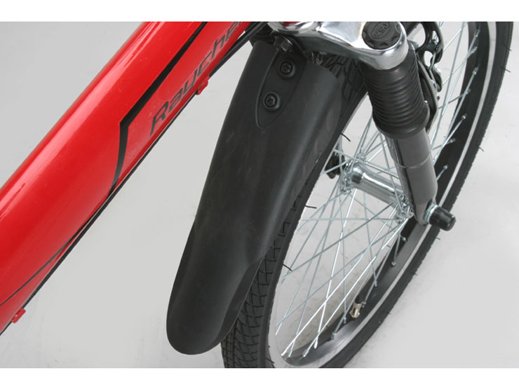 Raychell MFWS-206R 2010�N���f��