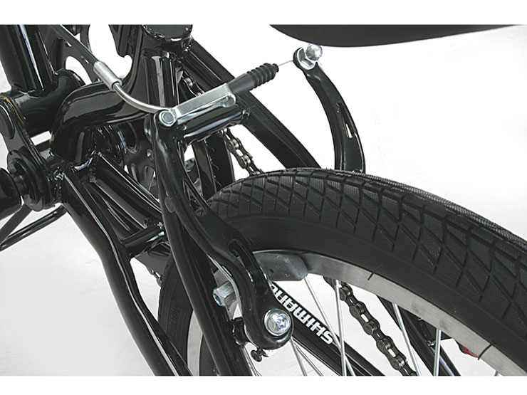 Raychell MFWS-206R 2010�N���f��