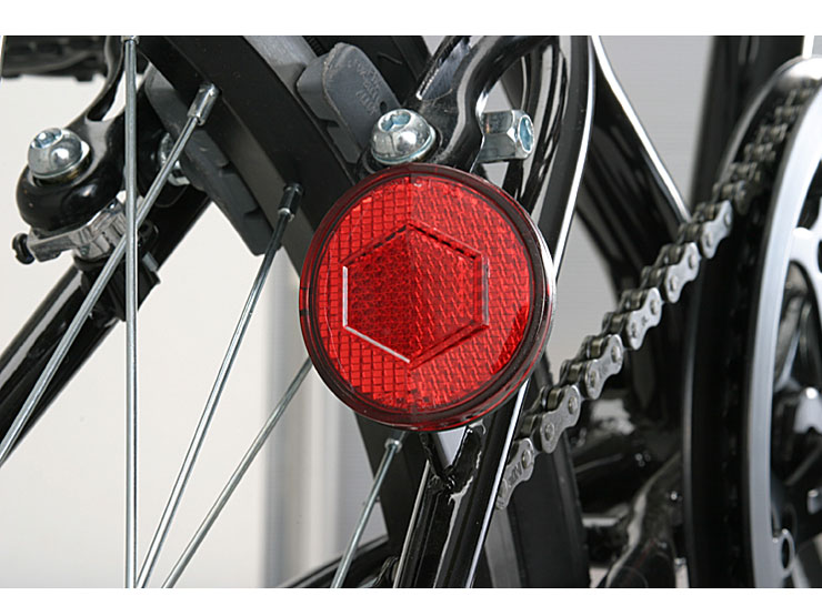 Raychell MFWS-206R 2010�N���f��