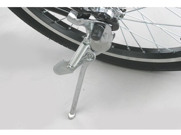 Raychell MFWS-206R 2010�N���f��